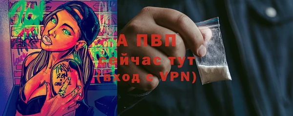 прущие грибы Верхний Тагил